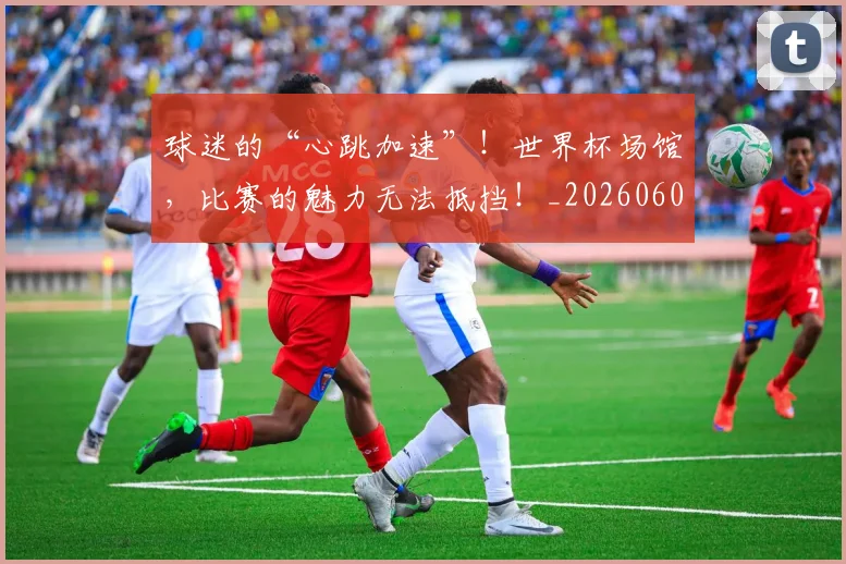 球迷的“心跳加速”!世界杯场馆,比赛的魅力无法抵挡!_20260606150137