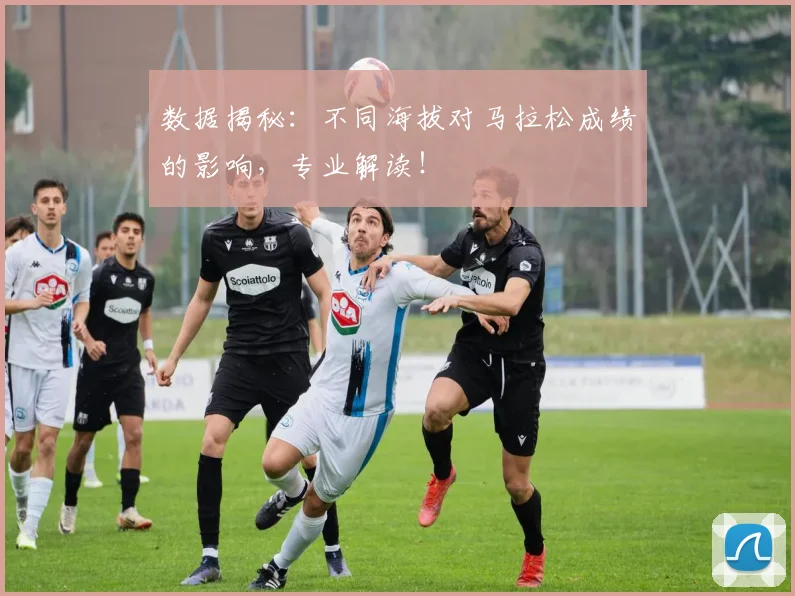 数据揭秘：不同海拔对马拉松成绩的影响，专业解读！