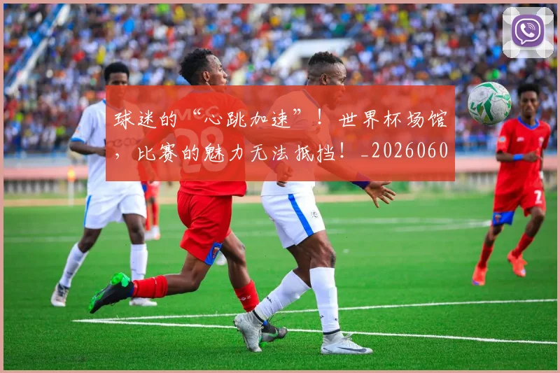 球迷的“心跳加速”！世界杯场馆，比赛的魅力无法抵挡！_20260606150137